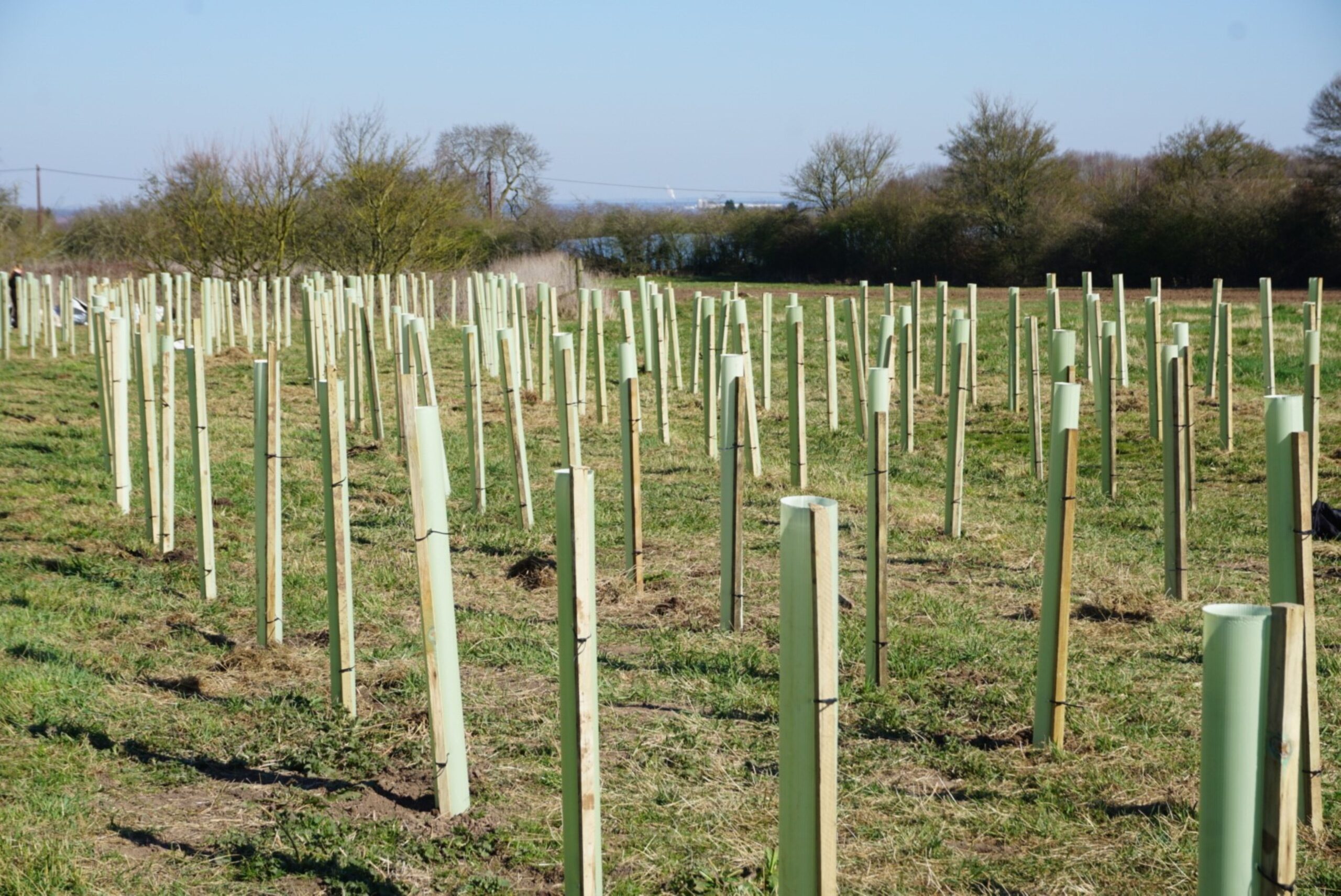 90542467 743e 429f a2ad 50c0d6095104 scaled