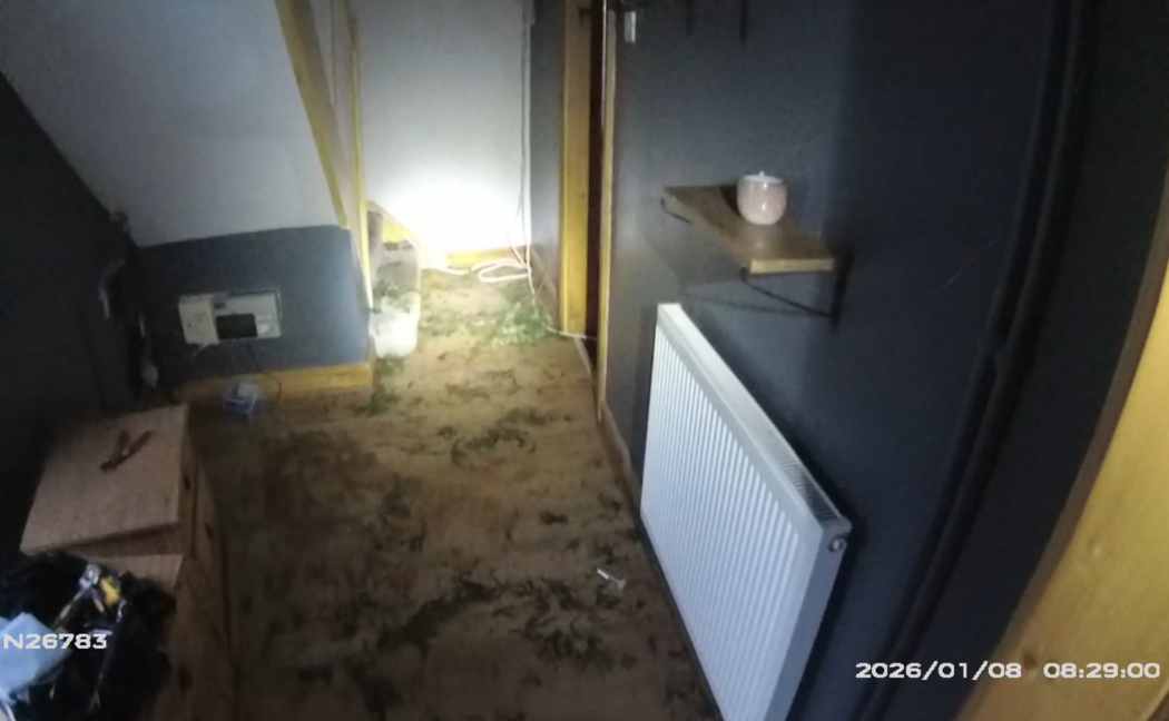 20261201 cannabis grow soh