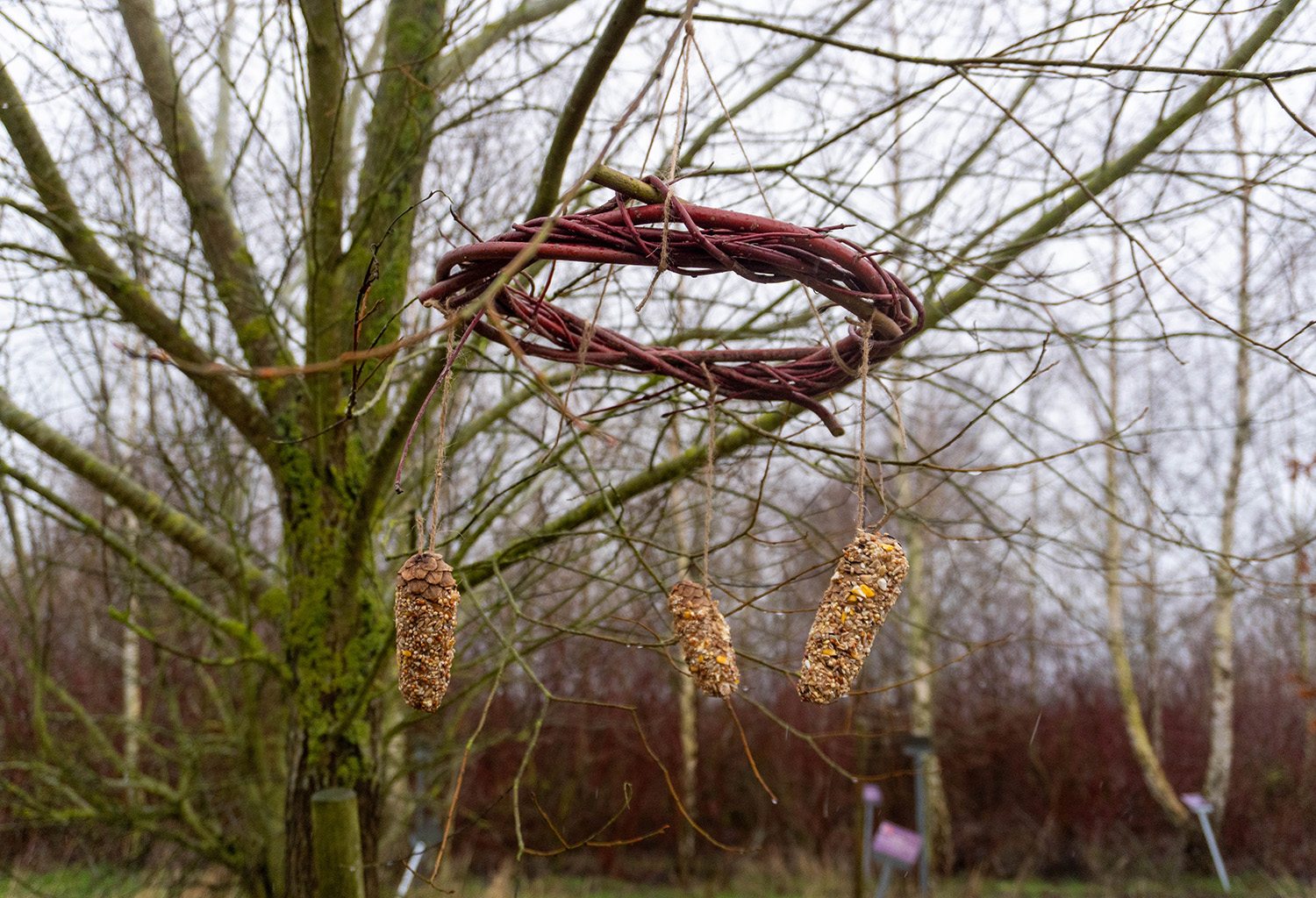 Screveton community farm gets grant for nature activities in Rushcliffe 636797396 1209564684662531 3806496084630835912 n