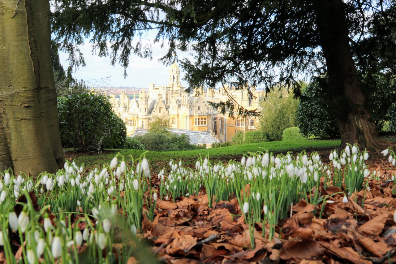 Spring at Harlaxton Manor
