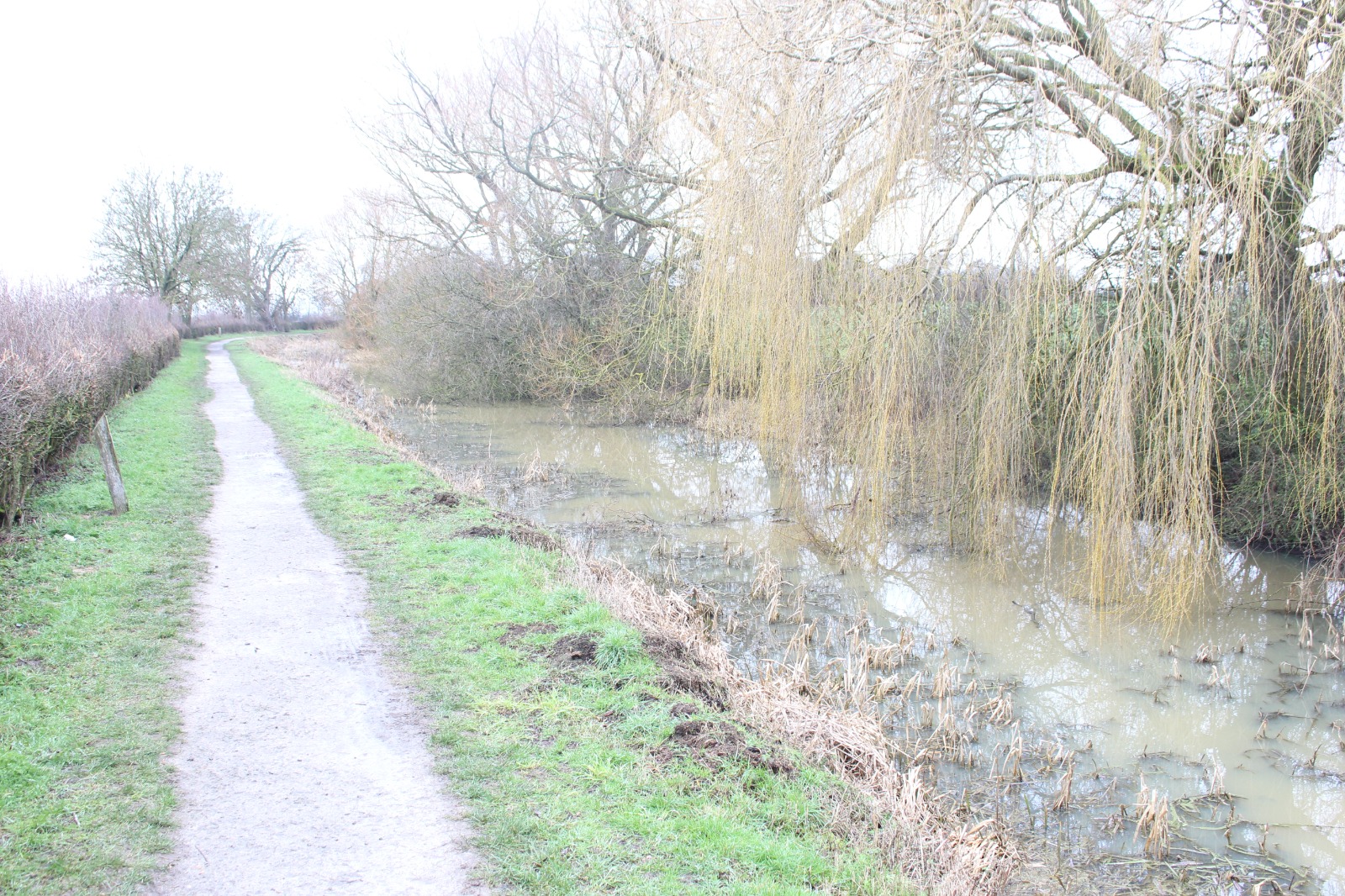 603720C0 AE67 460E BC18 CF0A8B471BE1