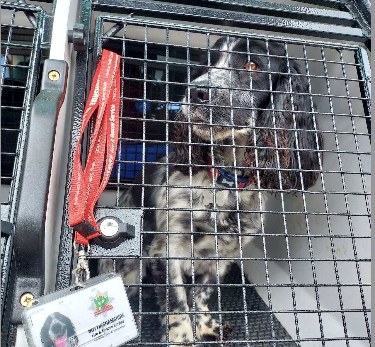 Screenshot 2022 07 12 at 12.09.58