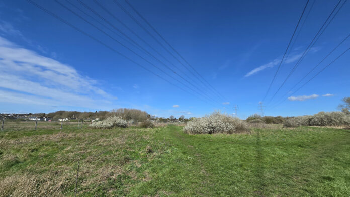 The site