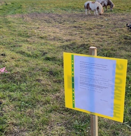 Horses and ponies found abandoned in field off A46 670059288 1453058690193520 899341440357515580 n