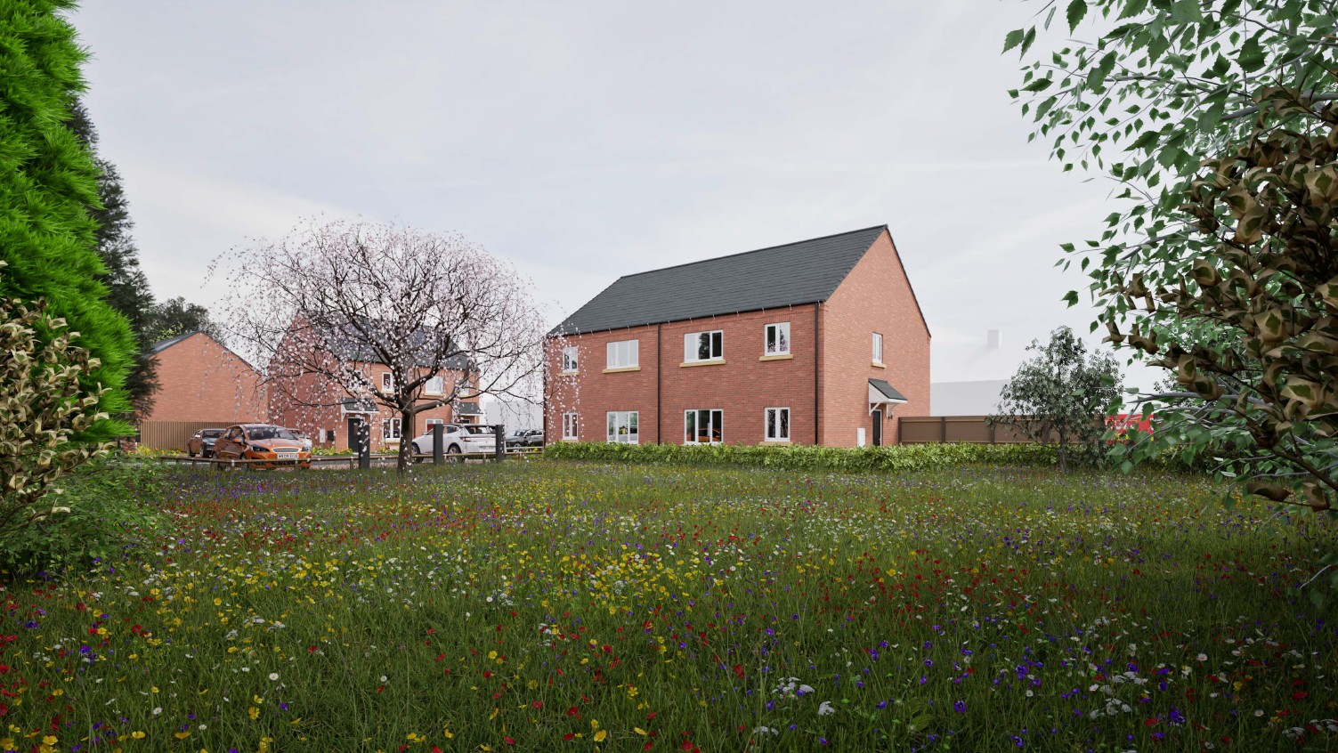 677813664 1402127808620161 2076975376928262627 n