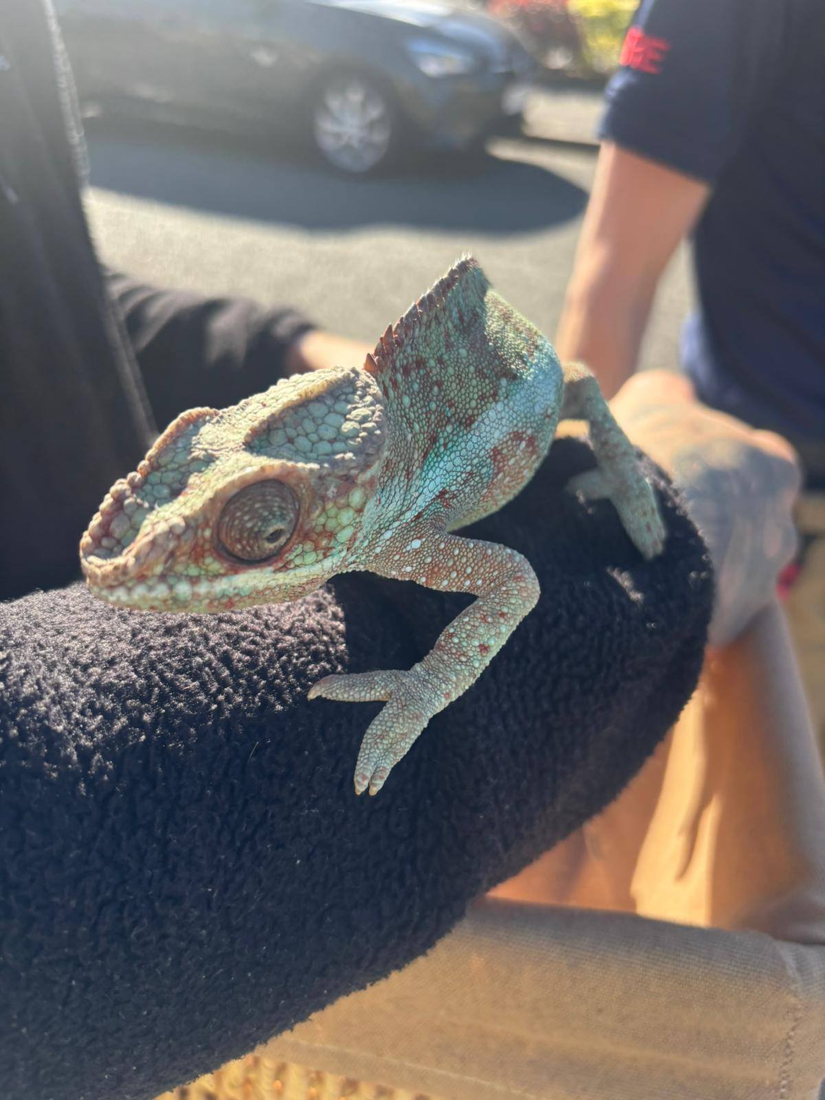 682714941 1377876754366618 3195379176092986882 n