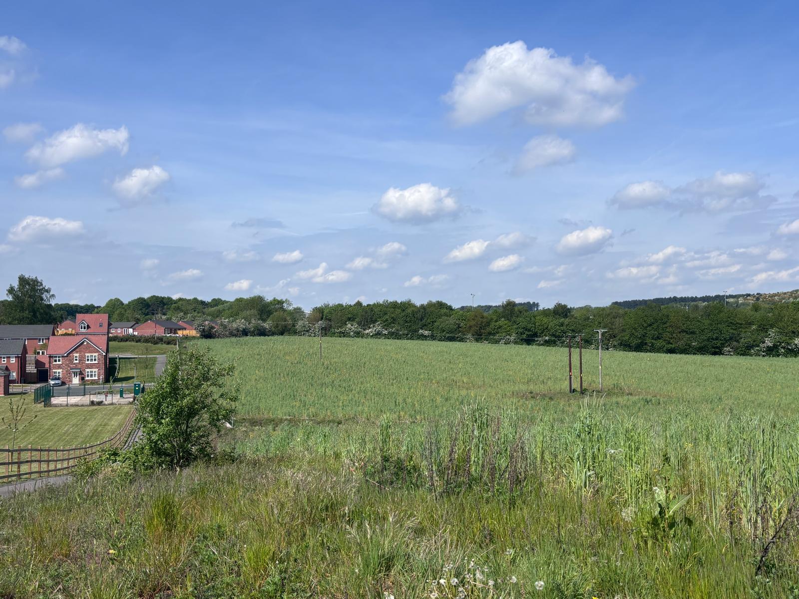 CalvertonPheasantWay