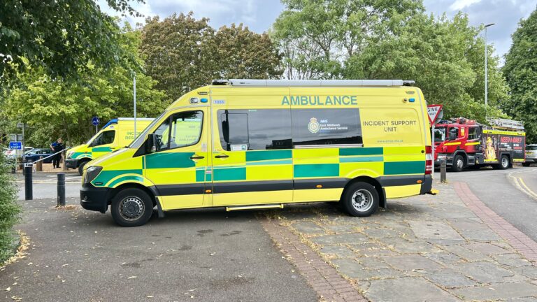 EMAS response times improve but miss targets, board papers show