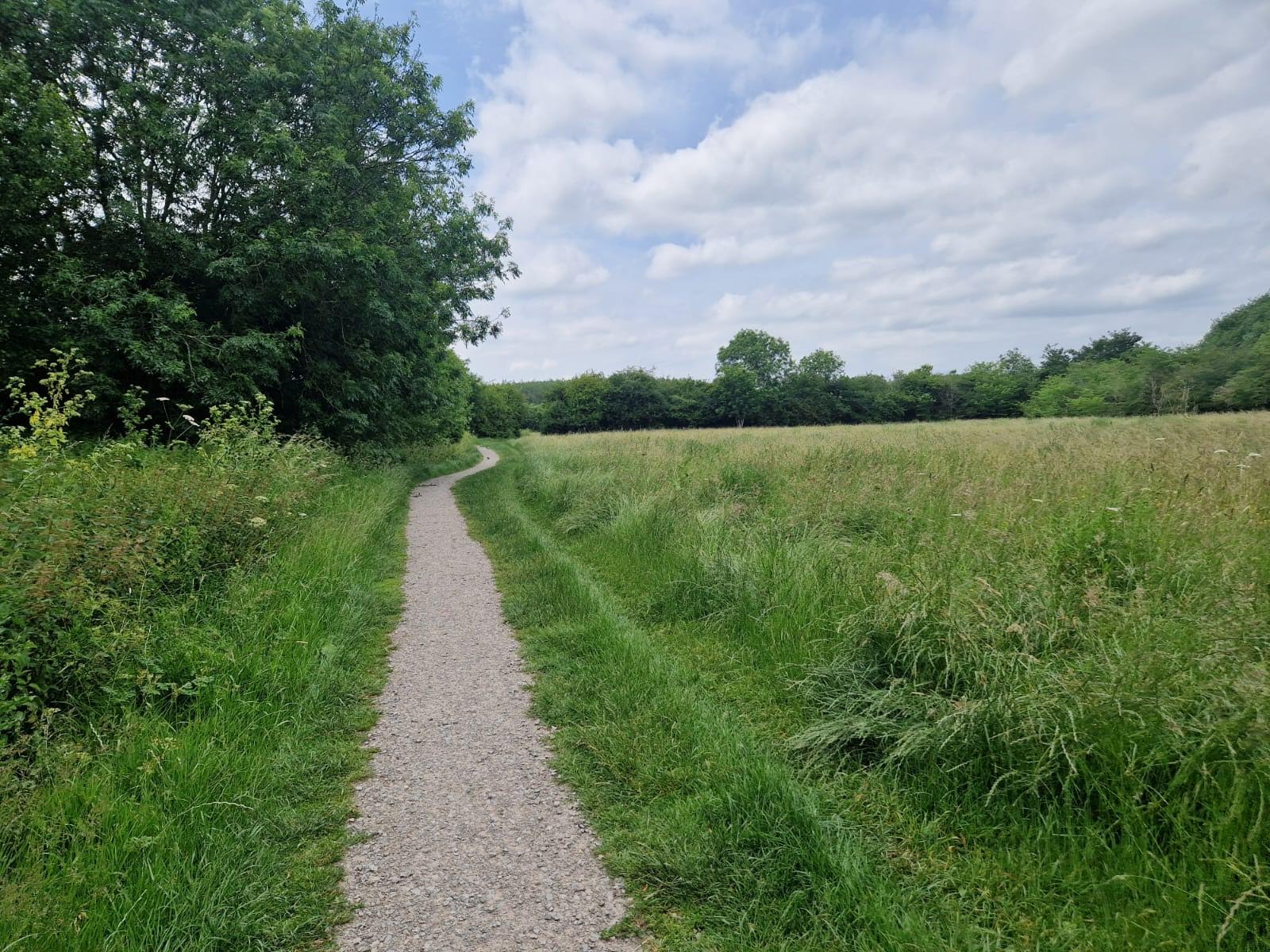New nature reserves in West Bridgford, East Leake and East Bridgford proposed 0 1 3