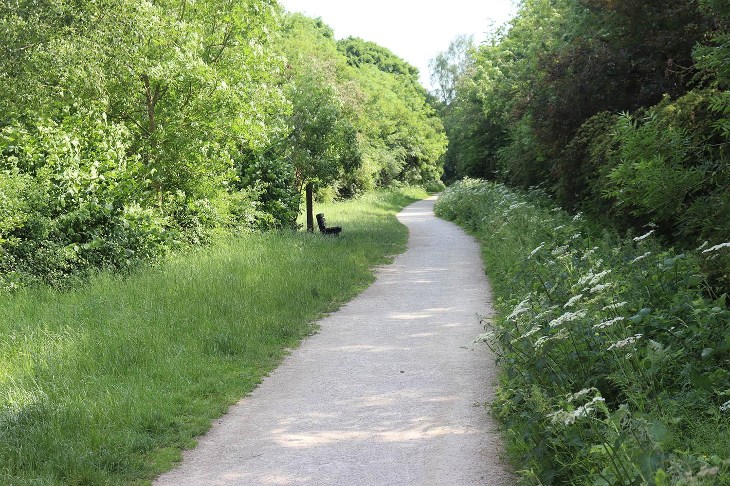 New nature reserves in West Bridgford, East Leake and East Bridgford proposed 0 2 3