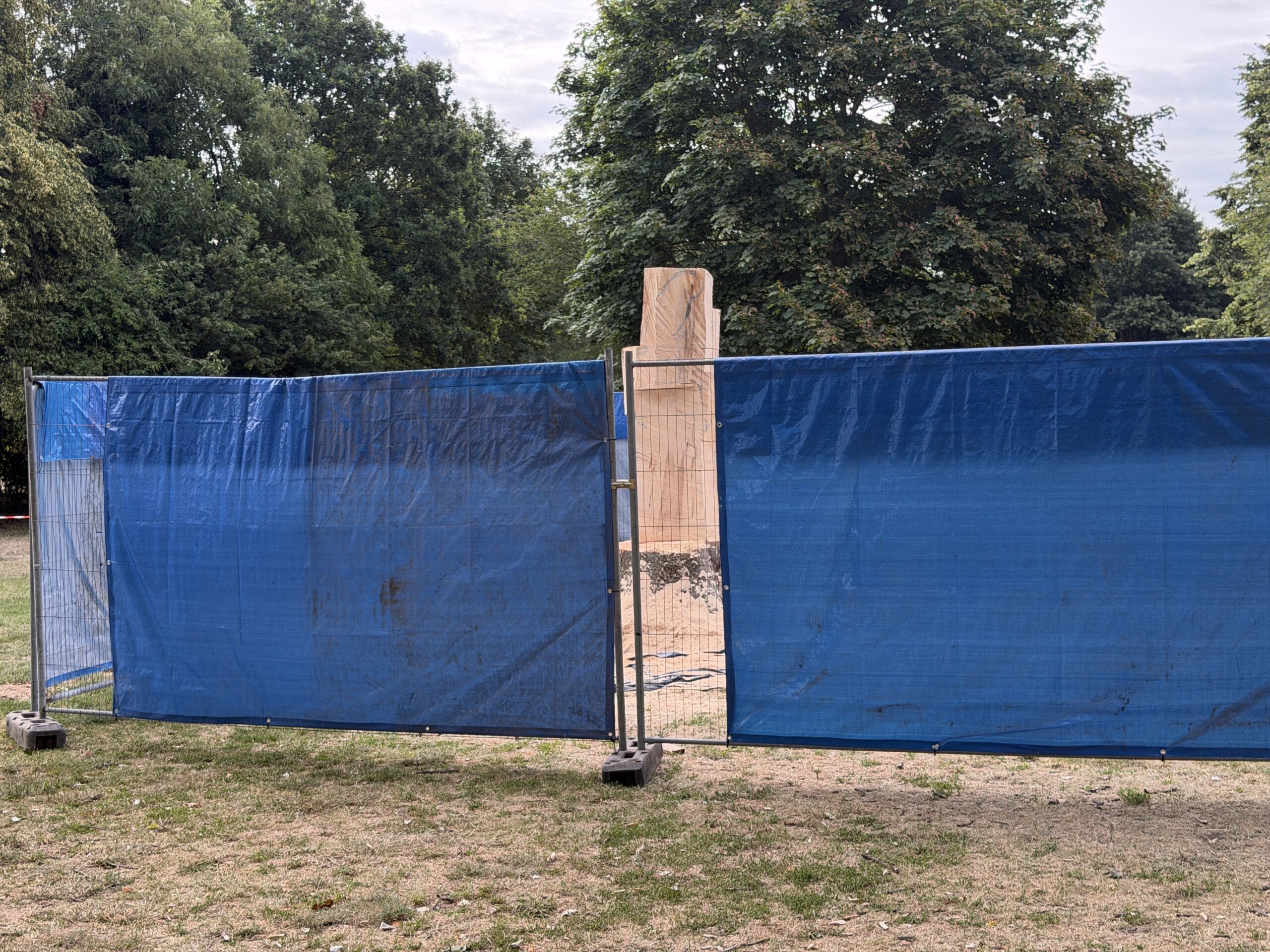 Tree trunks to be transformed into wildlife sculptures in Bridgford Park IMG 4979 scaled