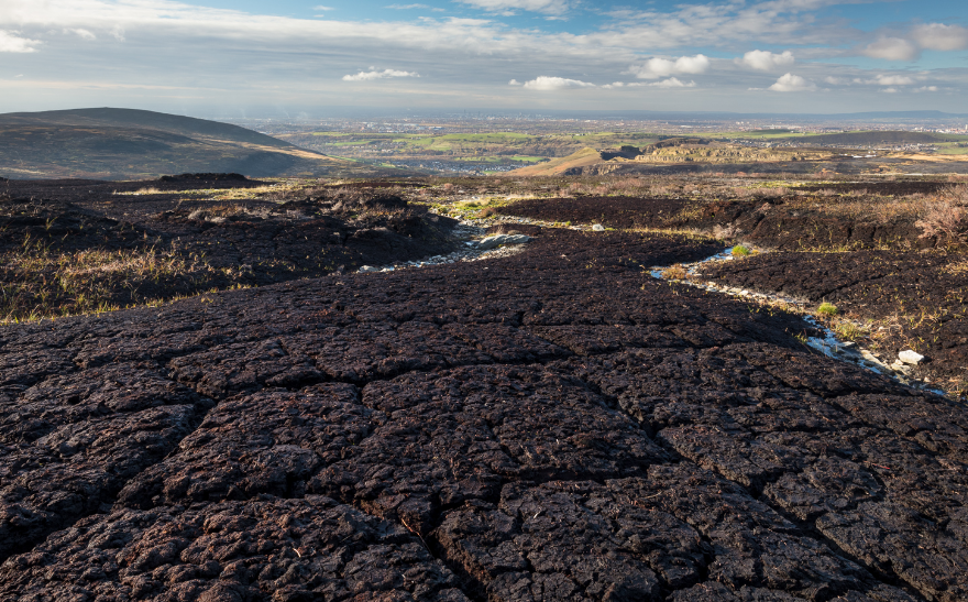 Stunning photos show Peak District peatland brought back to life Moors 1