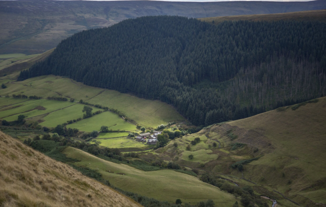 Stunning photos show Peak District peatland brought back to life Moors view