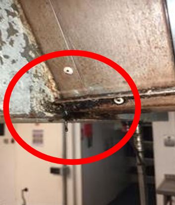 Loughborough hotel temporarily closed after zero food hygiene rating quorn hotel congeled grease