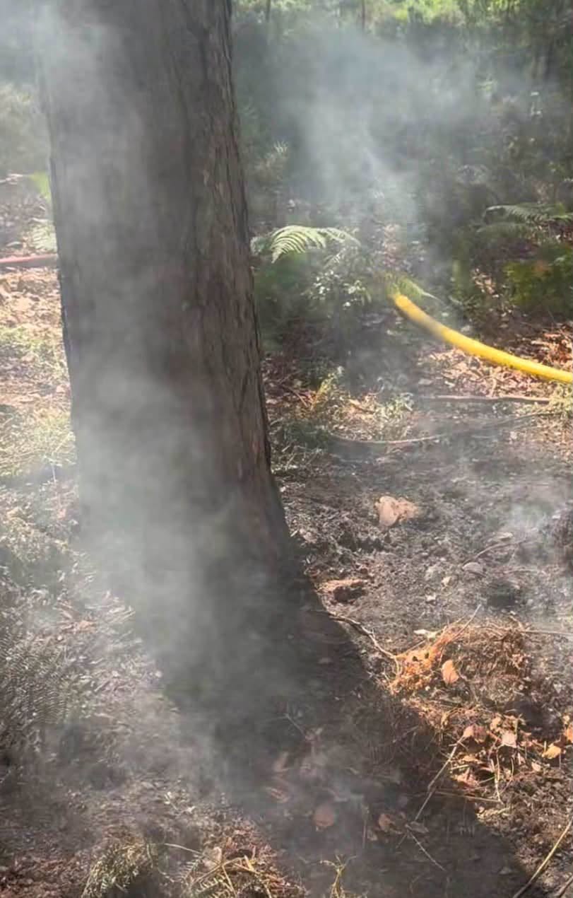 Crews tackle large outdoor fire at Strawberry Hill Heath 738662889 1579624506836506 3046580173155352973 n.png