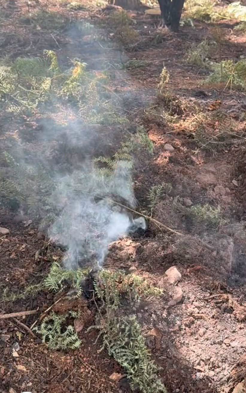 Crews tackle large outdoor fire at Strawberry Hill Heath 740836803 4082853558671569 4933409657061858021 n.png