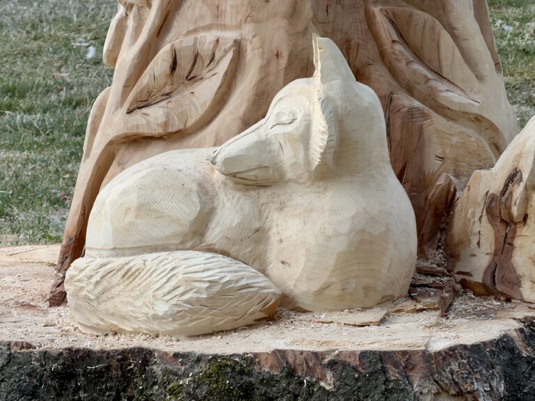 Stunning pictures show first completed tree sculpture in Bridgford Park