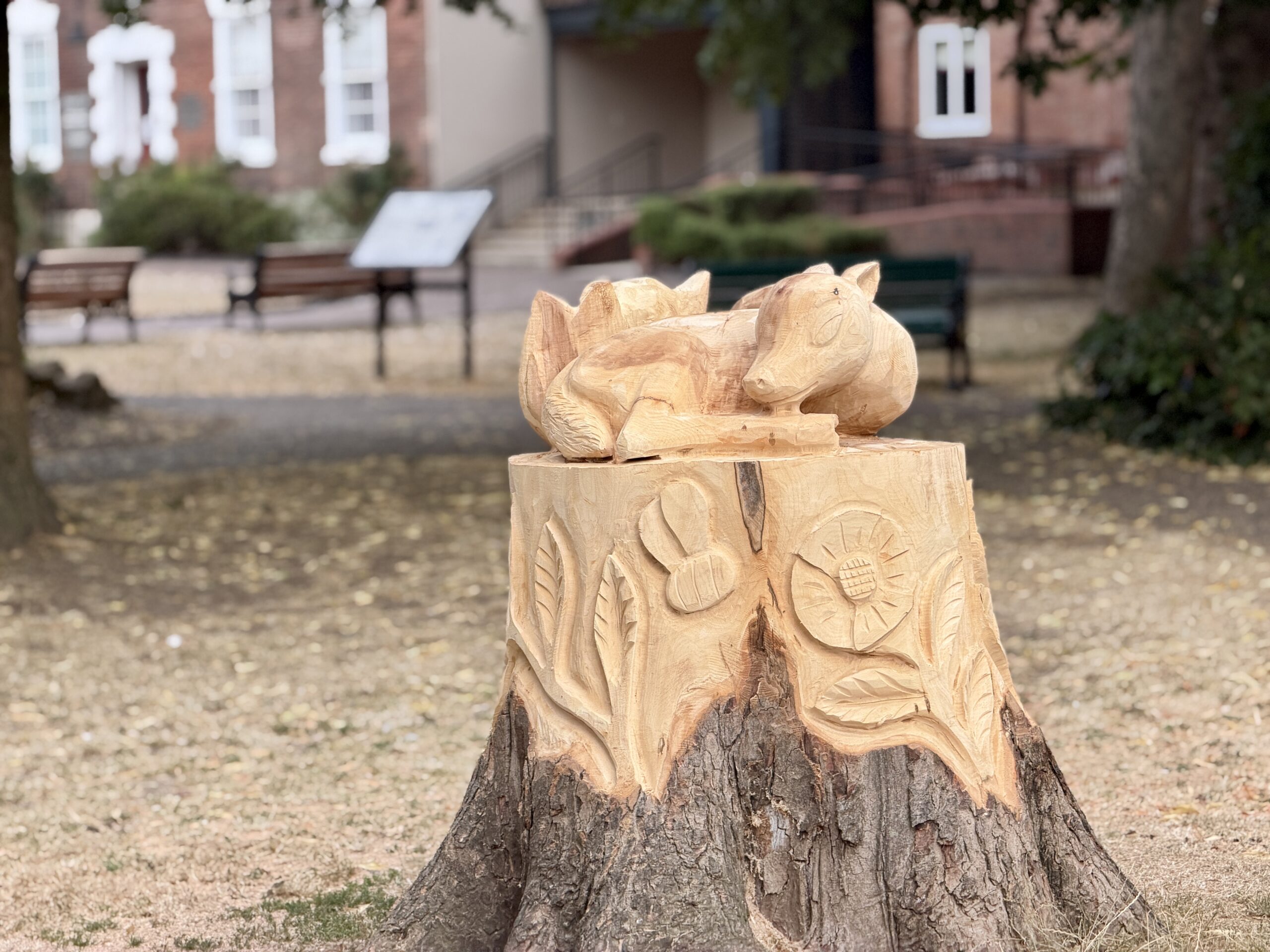 Second tree sculpture completed in Bridgford Park IMG 5317 scaled