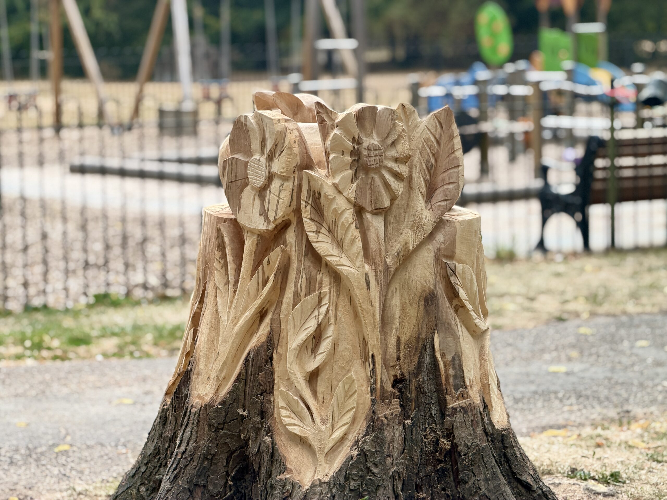 Second tree sculpture completed in Bridgford Park IMG 5321 scaled