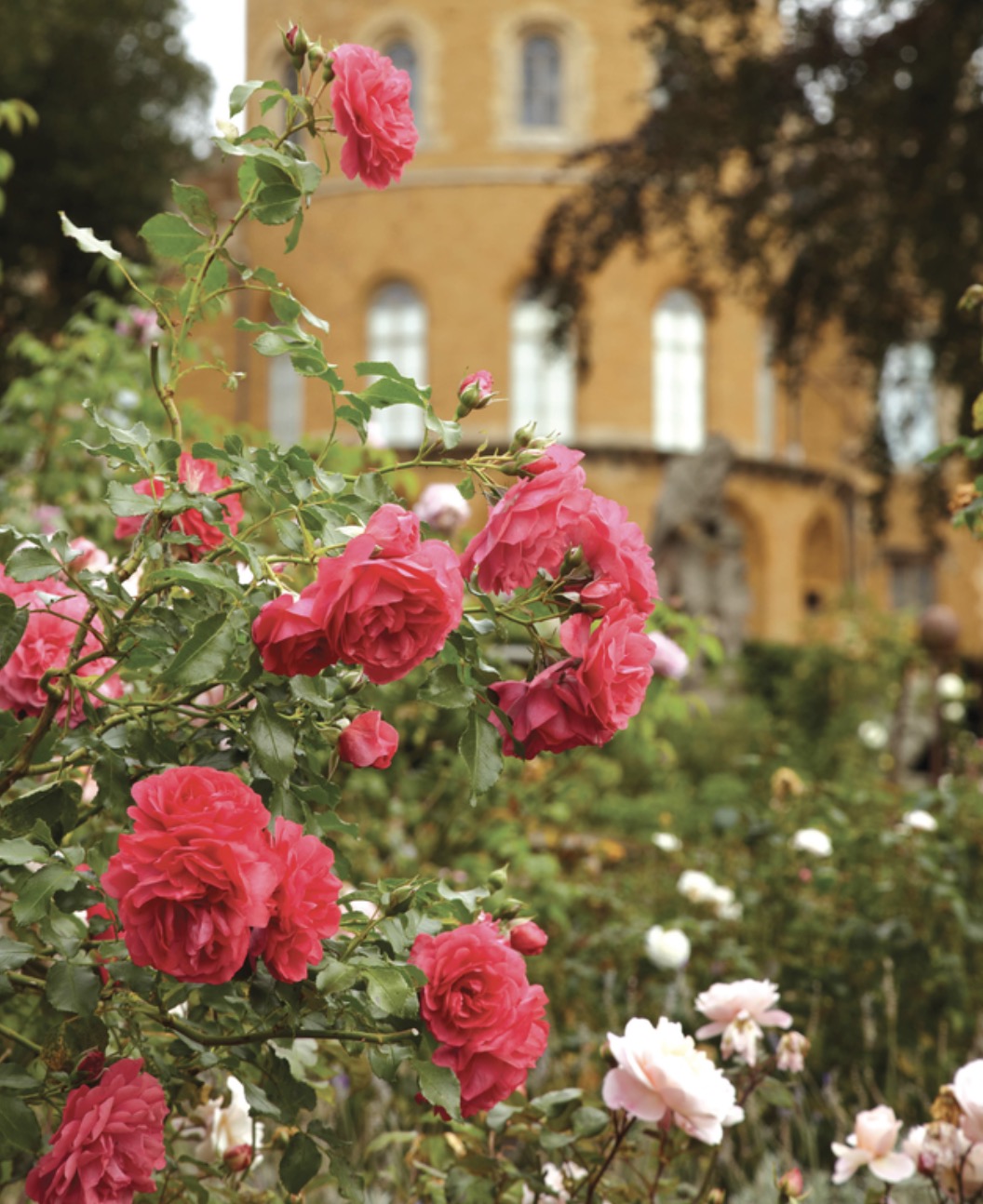 Belvoir Castle Flower Show returns with RAF Battle of Britain flypast Screenshot 2026 07 05 at 08.40.57