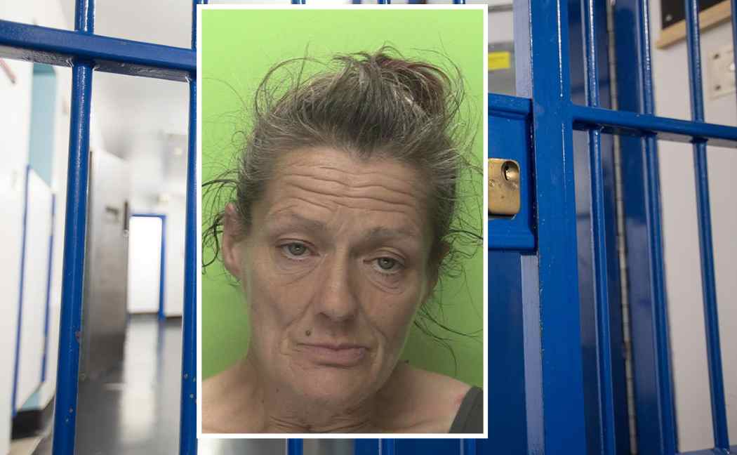 Burglar jailed after repeatedly targeting vulnerable victim colleen shaw soh