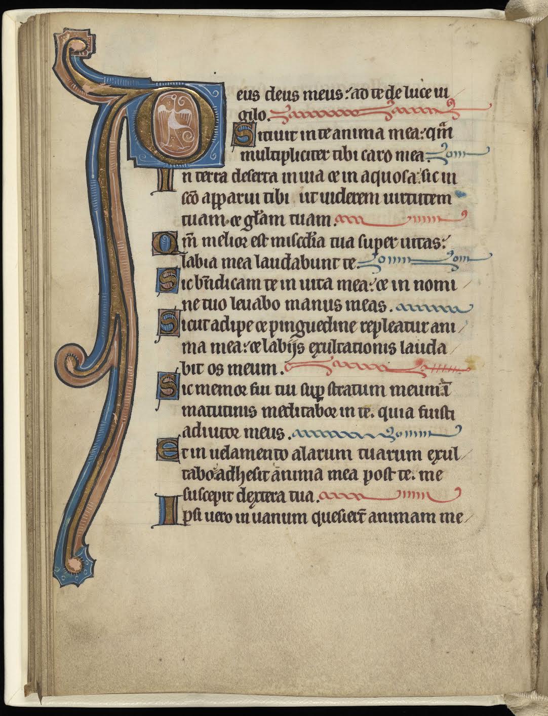Medieval Mansfield Psalter available to researchers after almost 800 years 2 7
