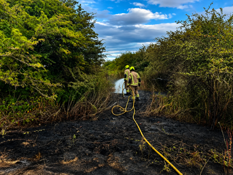 Fire service plea after 61 deliberate fires in the outdoors in one July week