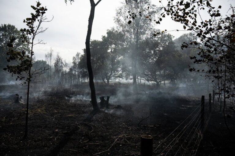 Pictures show devastation of huge Nottinghamshire wildfire – eight fire crews remain at scene