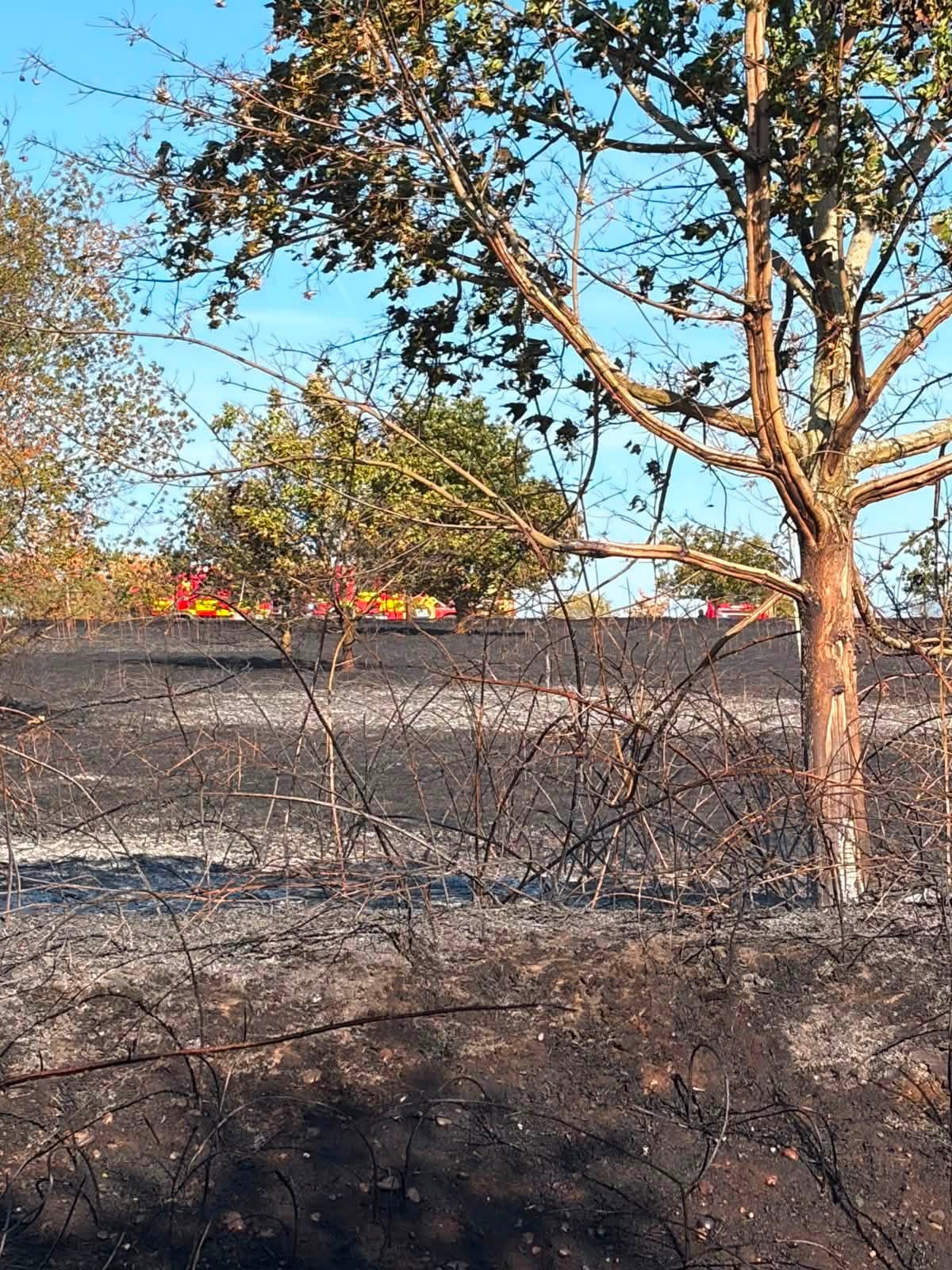 Firefighters deal with large field fire in Oak Tree, Mansfield 771870669 1518416143653634 705211694918830828 n