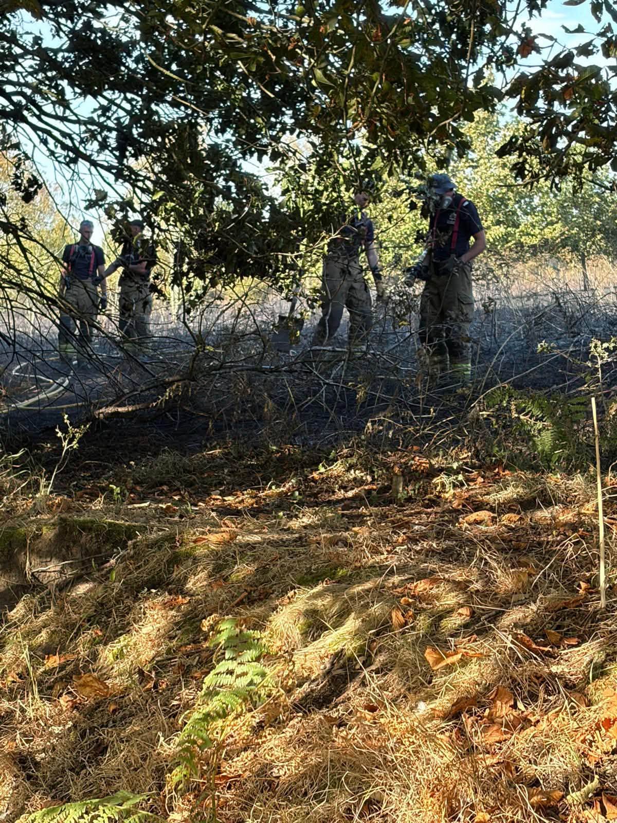 Firefighters deal with large field fire in Oak Tree, Mansfield 772656237 1518416210320294 4562865695529931857 n