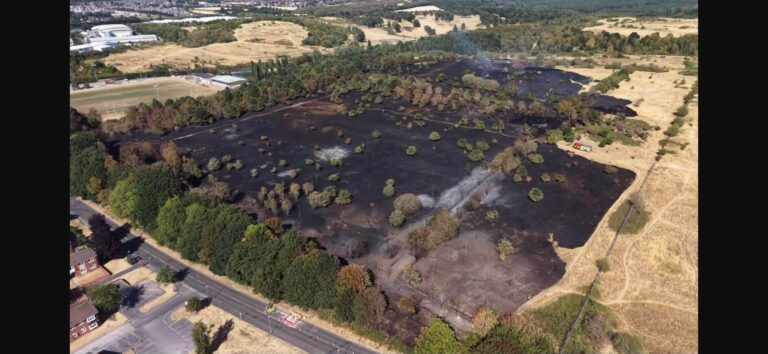 Pictures: 16 fire crews tackled two simultaneous huge field fires in Nottinghamshire