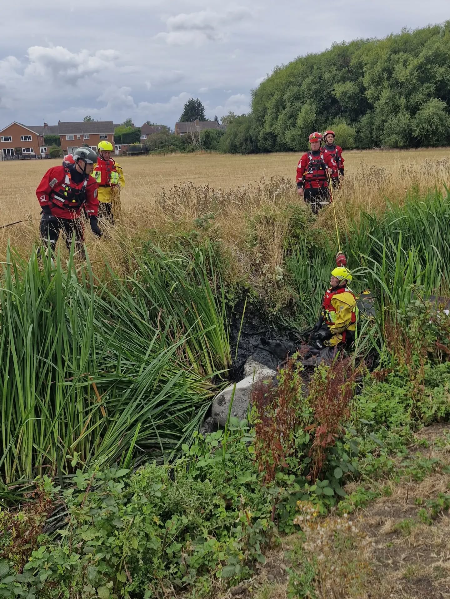 Pictures: Horse Arna rescued by firefighters in Bingham after becoming trapped in ditch 774025975 18609707206058029 5031221349382795416 n.webp
