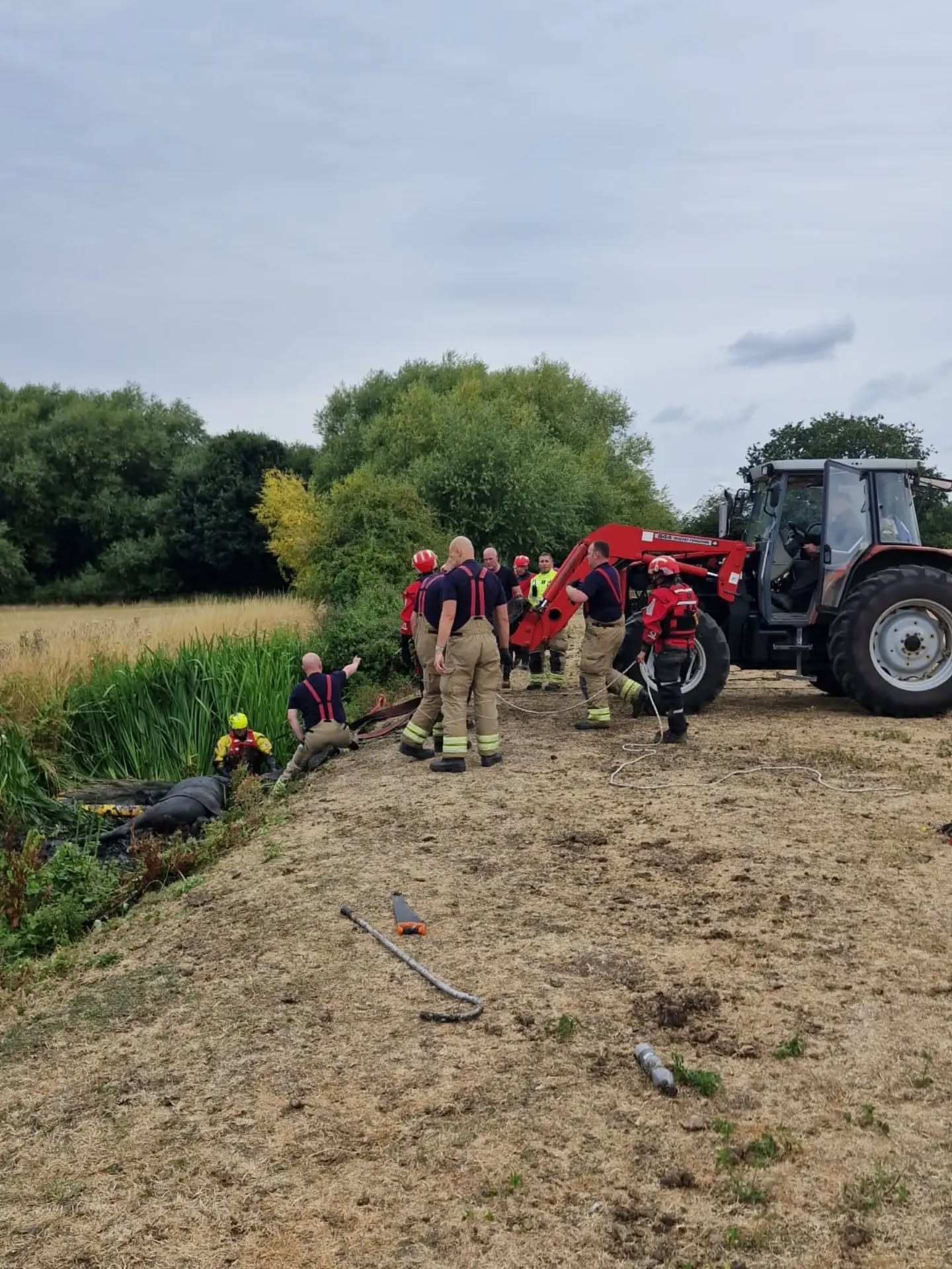 Pictures: Horse Arna rescued by firefighters in Bingham after becoming trapped in ditch 777824510 18609707272058029 8247191234987362357 n.webp
