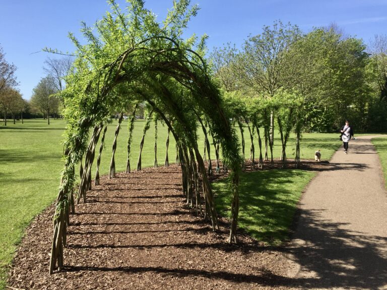 Bridgford Park willow tunnel replacement confirmed for autumn