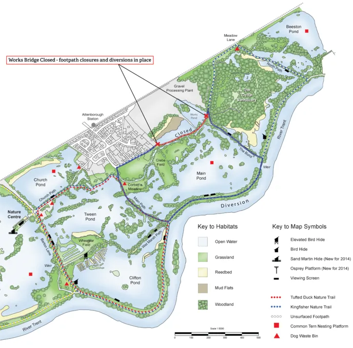 New bridge to restore access at Attenborough Nature Reserve as parking restrictions begin Final map with closure and diversion.png
