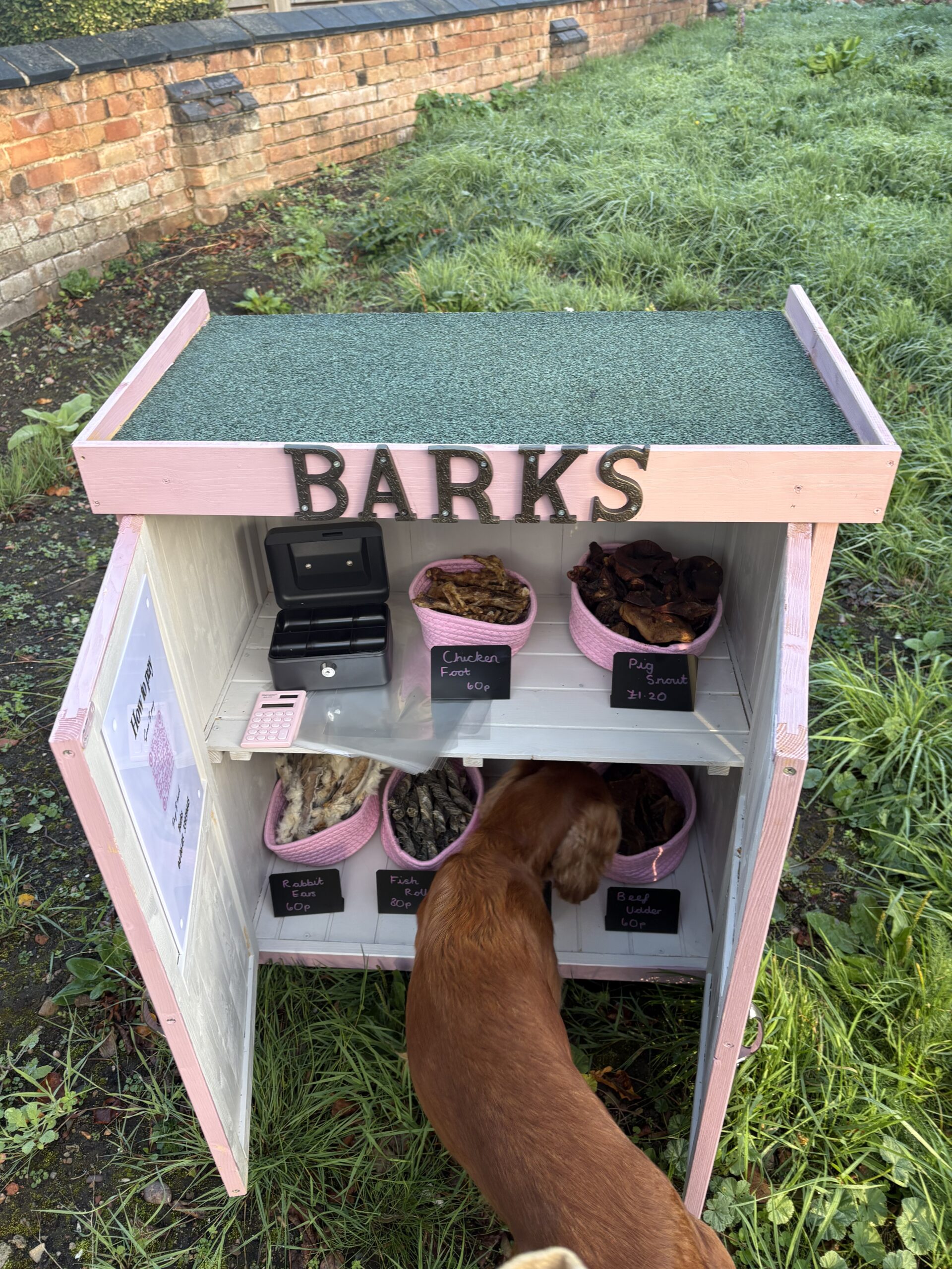 Sisters launch cake and dog treat sheds at Wilford village cottage IMG 3819 scaled